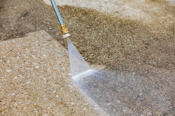 Best Animal Enclosure Cleaning  in Cottageville, SC