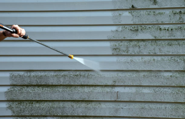 Best Solar Panel Cleaning  in Cottageville, SC
